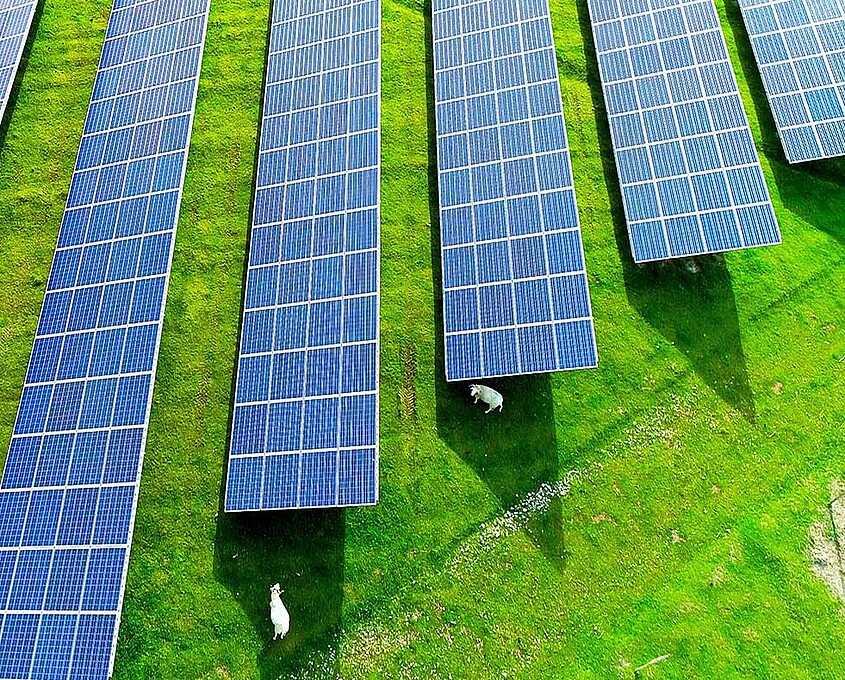 Solarfarm WKN Italia